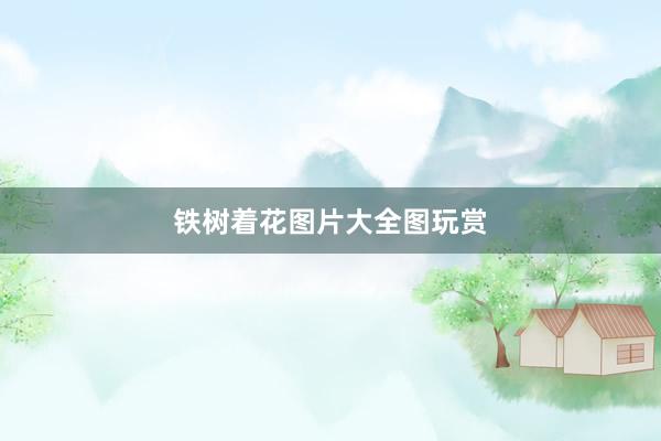 铁树着花图片大全图玩赏
