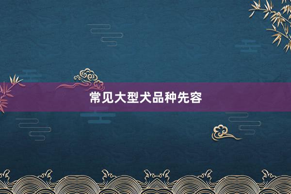 常见大型犬品种先容
